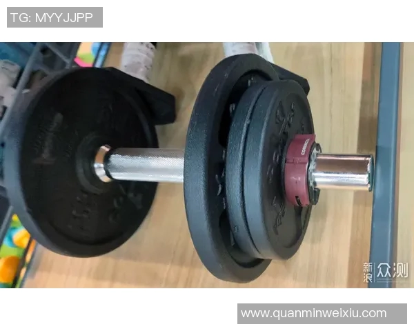 一副哑铃的价格是多少以及如何选择适合自己的哑铃型号和品牌